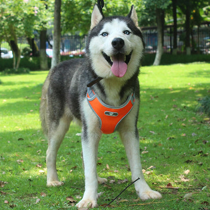 Reflecterend Hondenharnas van Nylon: Veiligheid en Zichtbaarheid in het Donker voor Jouw Trouwe Vriend.
